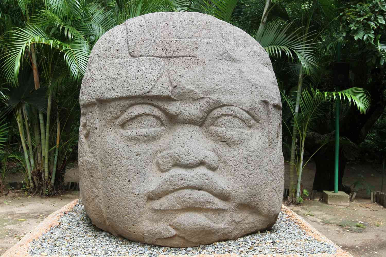<p>Colossal Head</p>