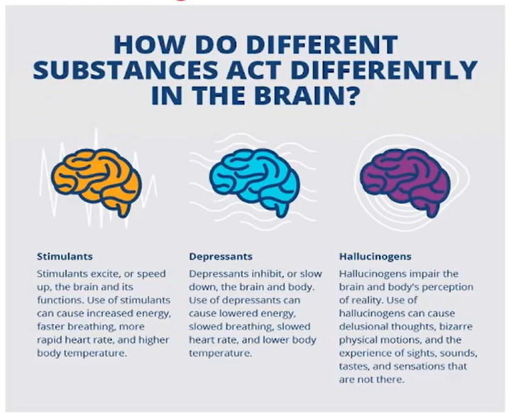 How Drugs Act In The Brain