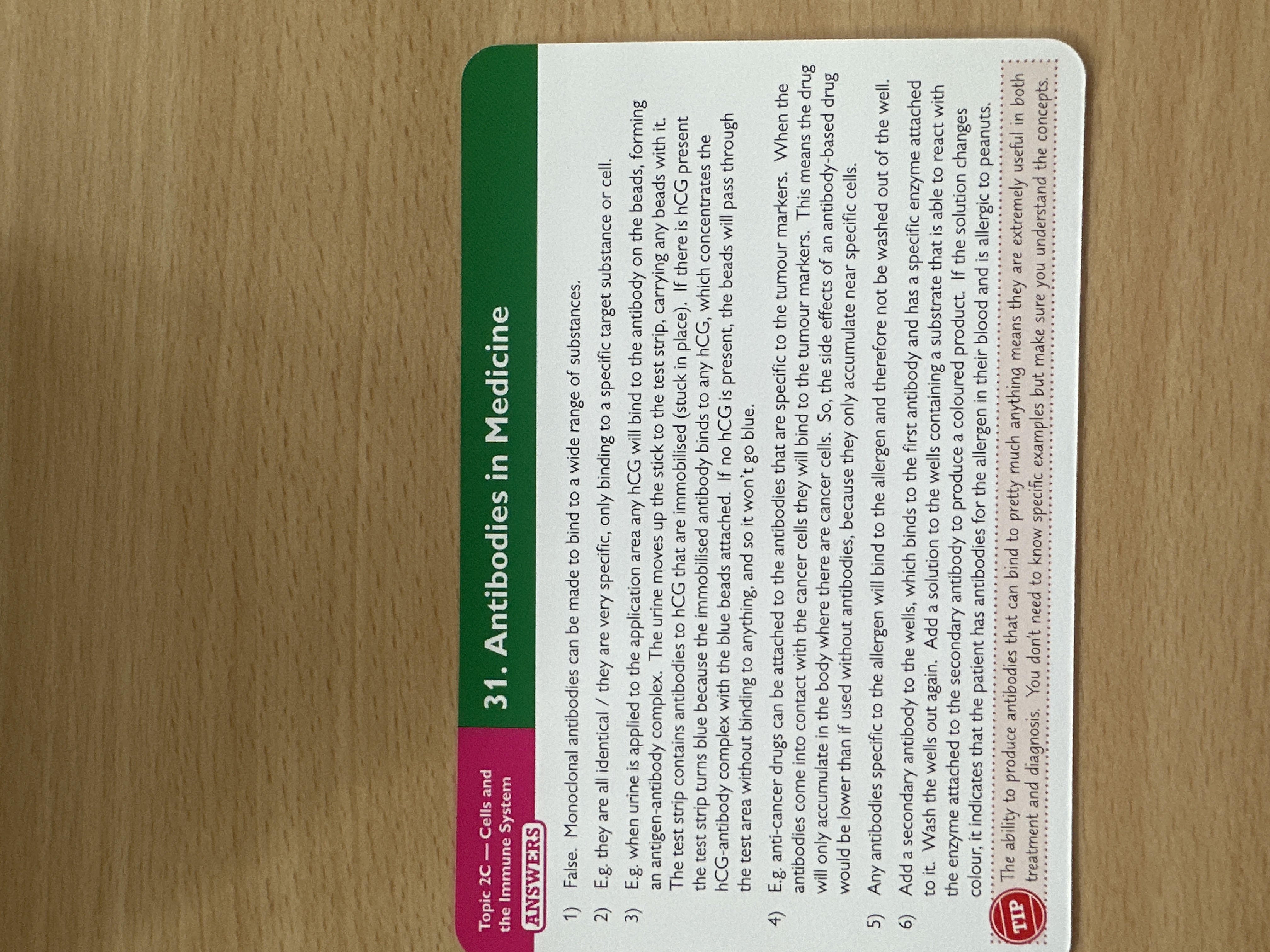 knowt flashcard image