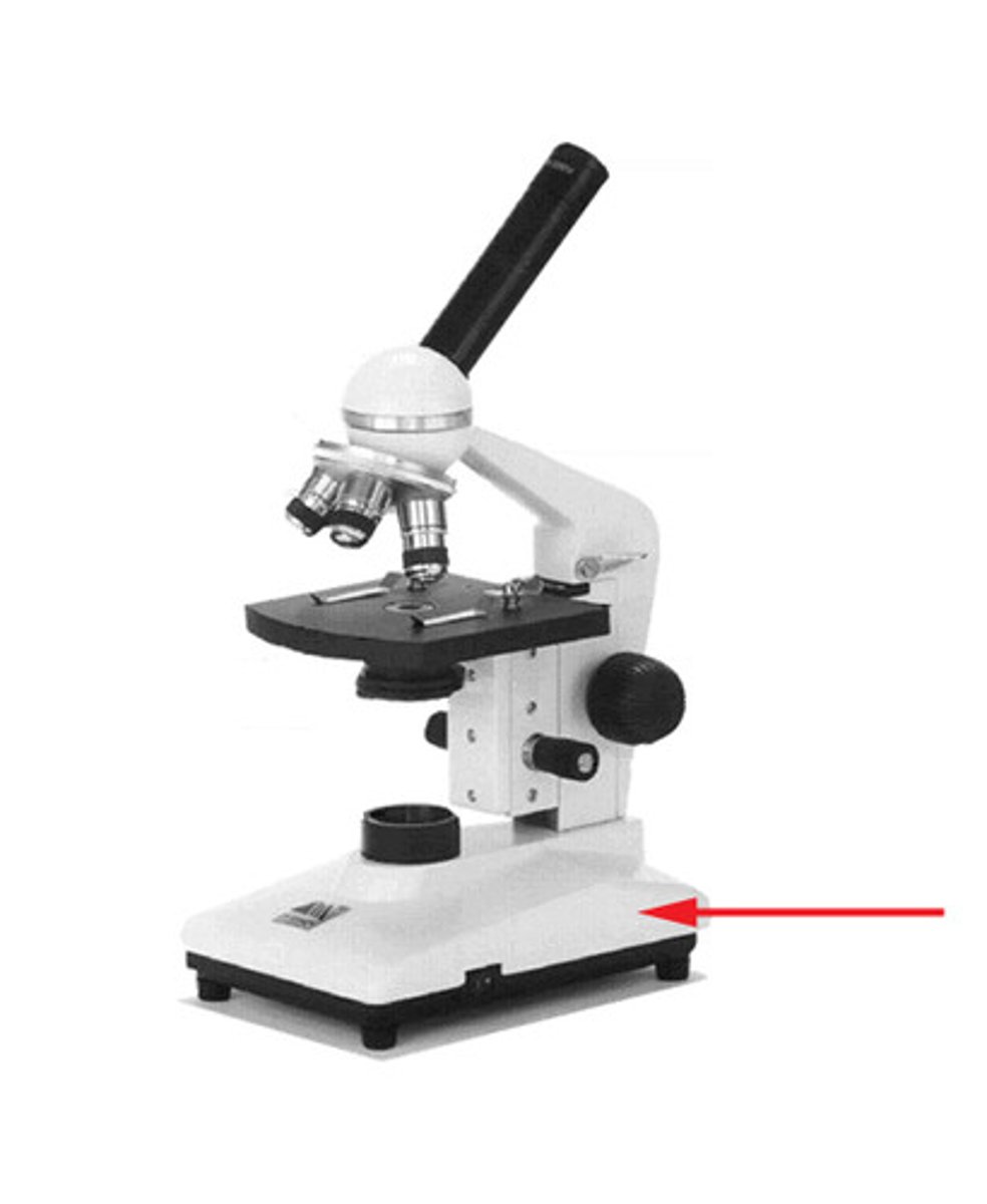 <p>supports the microscope</p>