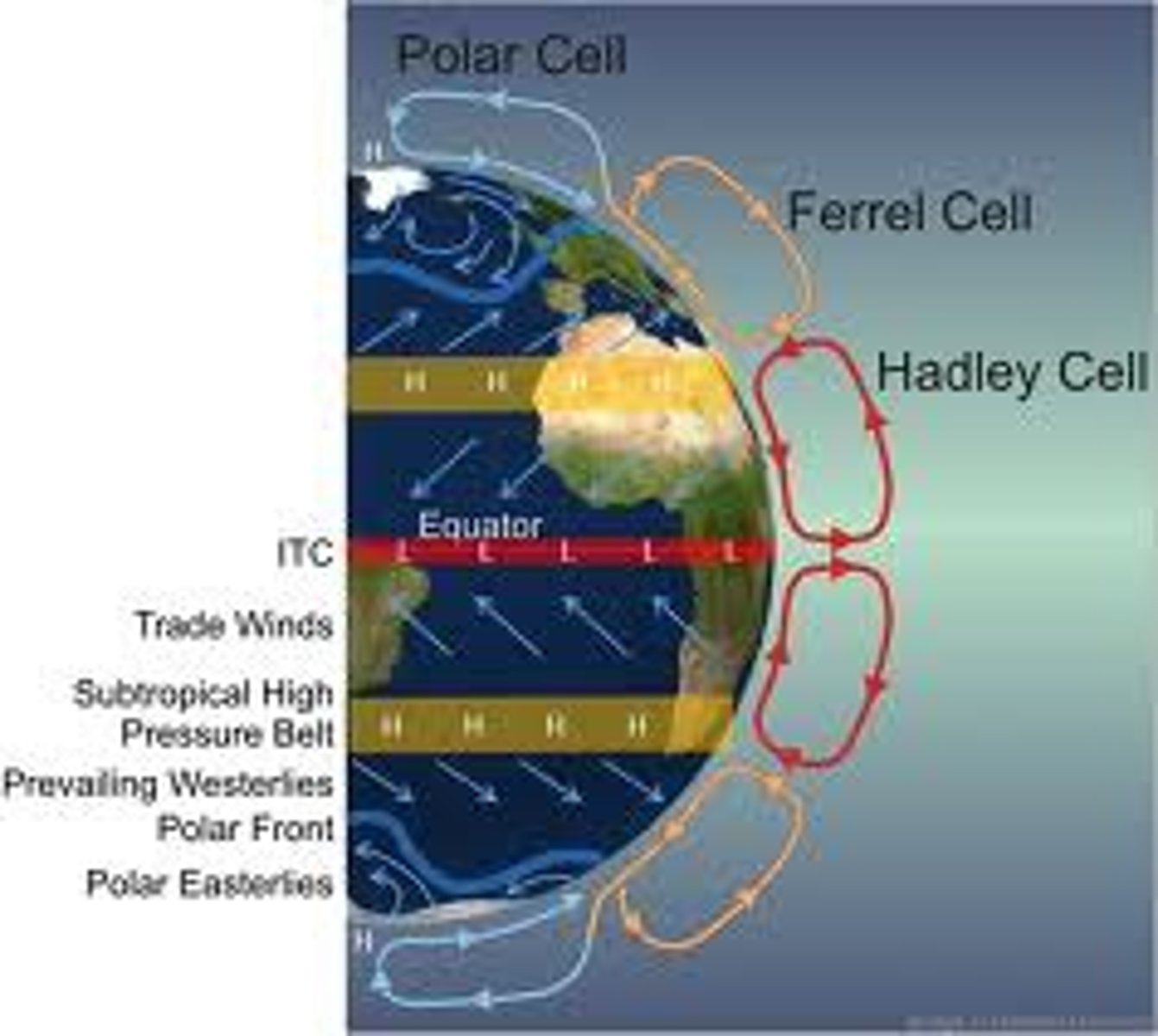 <p>The middle atmospheric circulation in each hemisphere. Air in these cells rises at 60 degrees latitude and falls 30 degrees latitude.</p>