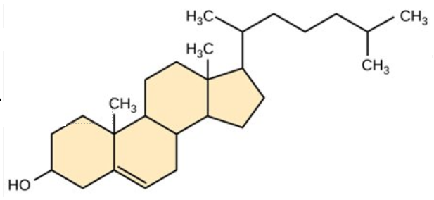 <p><span>This molecule is a:</span></p>