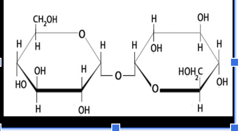 <p><span>α,1,1-glycosidic bond (the C that is connected to OH and NOT methyl)</span></p>