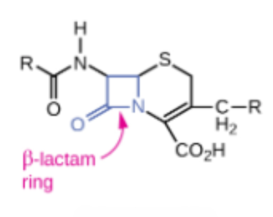 <p>Semisynthetic ______</p><ul><li><p>A group of cell wall synthesis inhibitors within the class of B-lactams</p></li></ul><p></p>