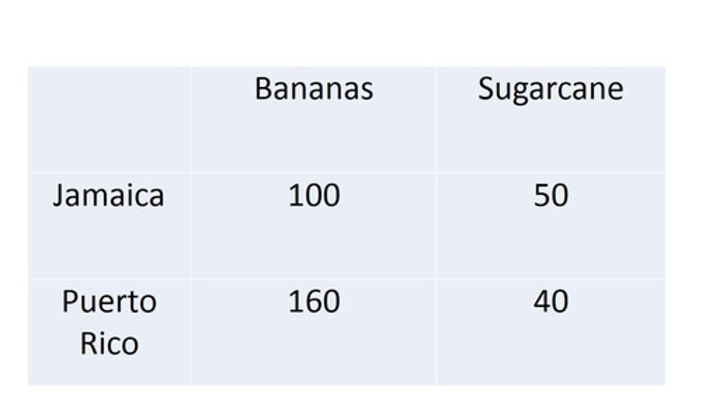 <p>Who has comparative advantage in bananas?</p>