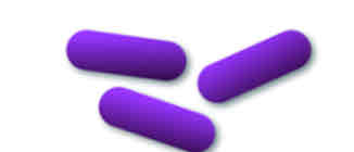 <p>Purple</p>