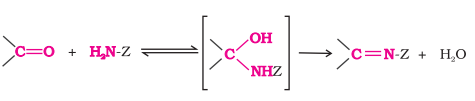 <ul><li><p>Aldehydes and ketones react with ammonia and many derivatives (H2N-Z) in <strong>weakly acidic mediums</strong> to form <strong>compounds containing &gt;C=N group</strong></p></li><li><p>Reactions are <strong>reversible </strong>and catalysed by acids</p></li><li><p>Equilibrium favors product formation due to <strong>rapid dehydration </strong>of the intermediated to form<strong> &gt;C=N-Z type compounds</strong></p></li></ul>