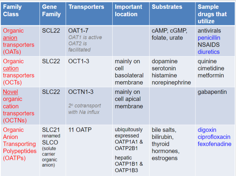 <ul><li><p>distinct from primary active transporters and ion channels, both structurally and functionally</p></li><li><p>localized to cellular membranes as well as organelle membranes (ex: SLC25 fam of mitochondrial transporters)</p></li><li><p>most are transport specific molecules, but some are broad-range (ex: SLC21 and SLC22 fams)</p></li><li><p>important drug targets (ex: SLC 6 + 12 fams)</p></li></ul>