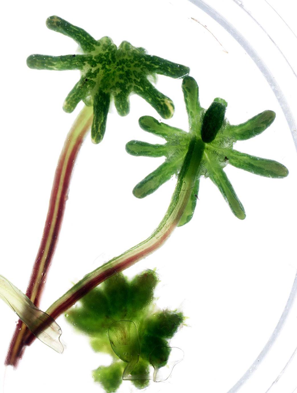 What does this image depict?
