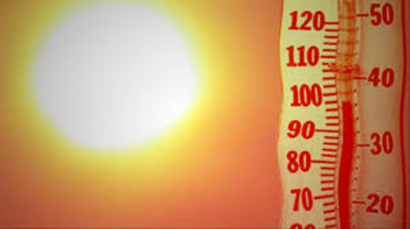 <p>It's warm.</p>