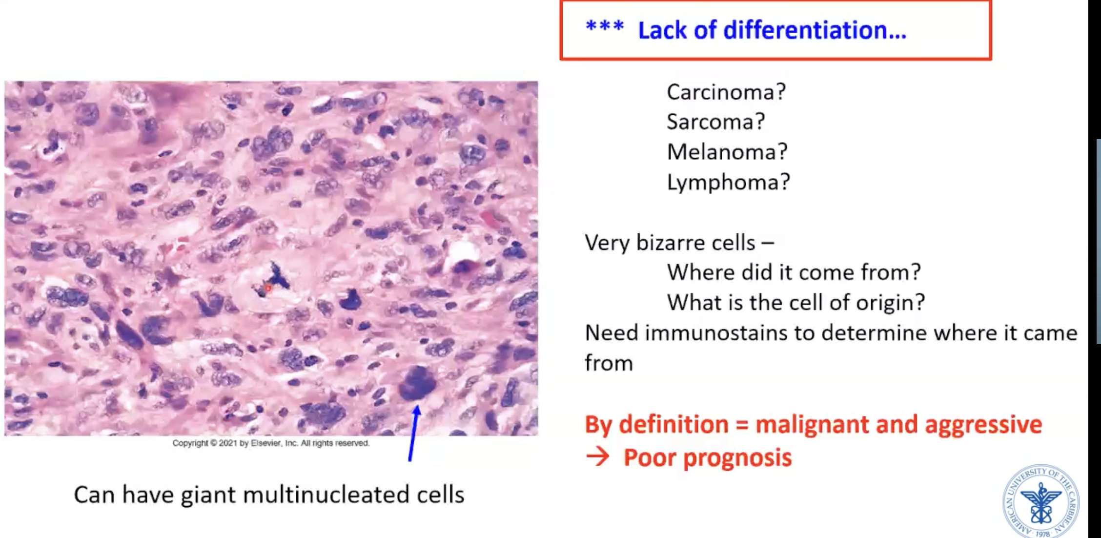 <p>LACK OF DIFFERENTIATION</p>