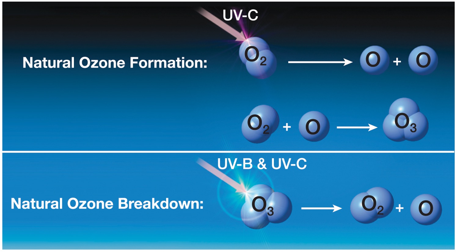 <p>three Oxygen atoms bonded to form 1 molecule </p>