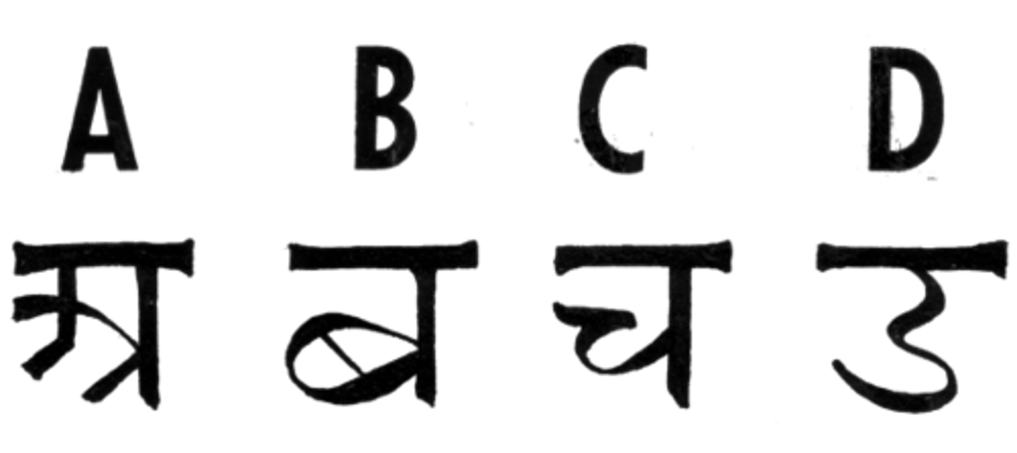 <p>(Hinduism) an ancient language of India (the language of the Vedas and of Hinduism)</p><p>Oldest written language</p>