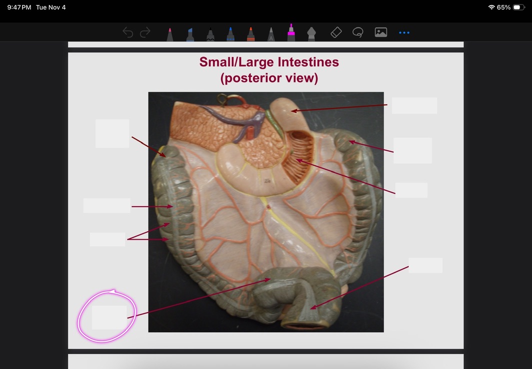 <p>What is this?</p>