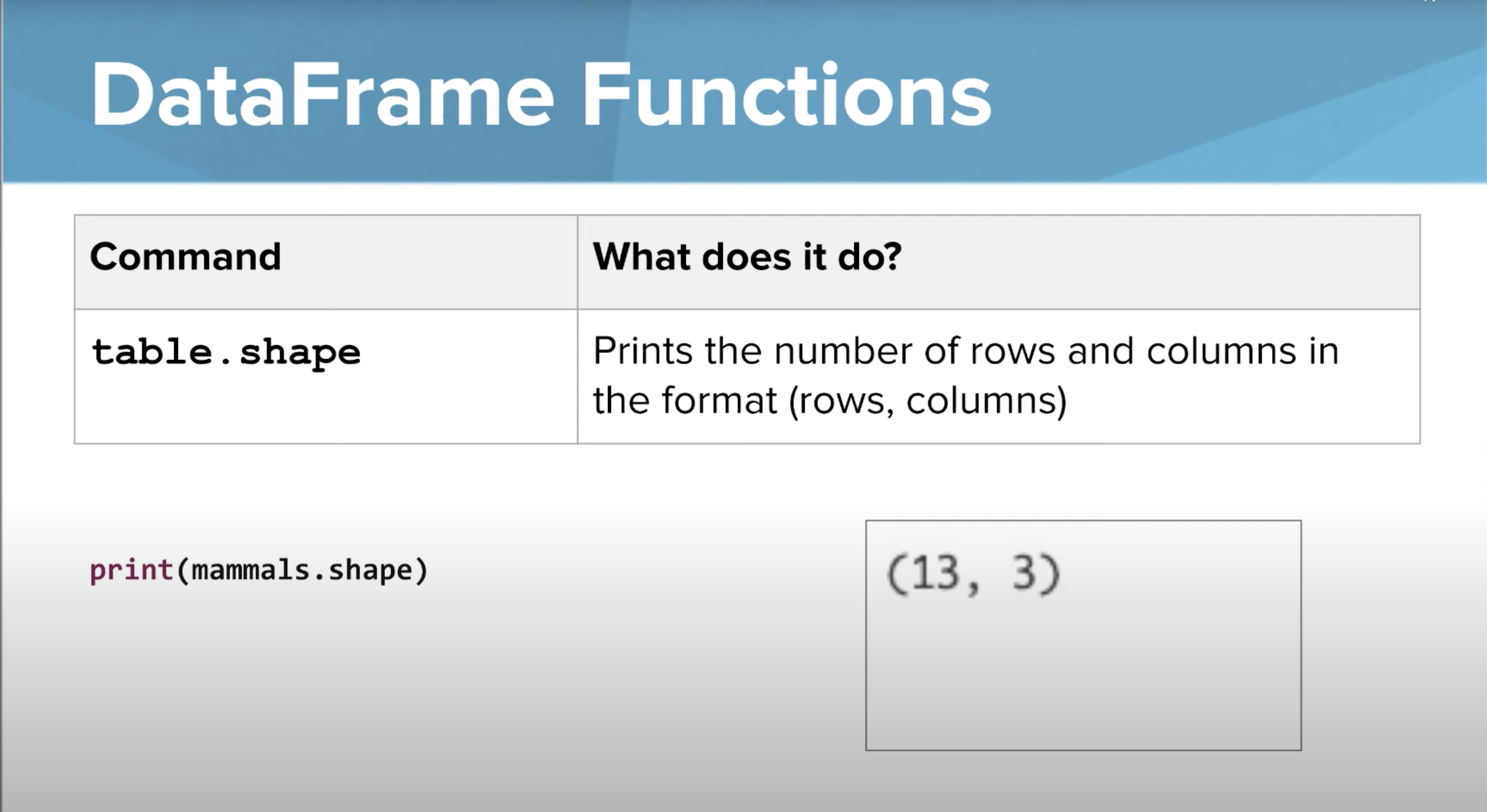 <ul><li><p>Displays the # of rows and columns within the table</p></li></ul><p></p>
