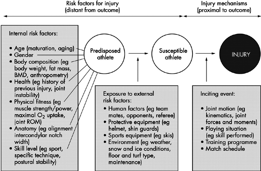 similar to the multifactorial model with assessment of risk factors however this model focuses on the inciting event as being the most important. Factors contributing to the inciting event include: playing situation, player/opponent behaviour, whole body biomechanical descriptions, and detailed, single joint biomechanical descriptions of injury mechanism