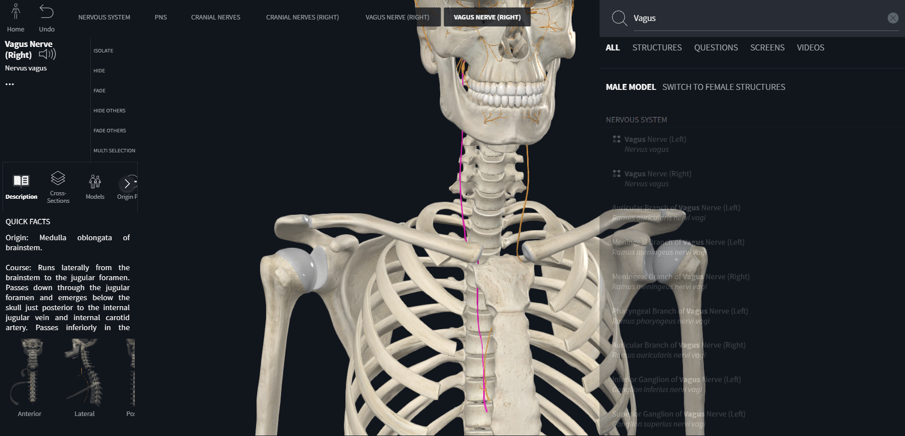 <p>Vagus (X)</p><p>part of central nervous system from which nerve enters or emerges</p><p>general function types of fibers</p><p>general distribution</p>