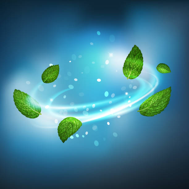 <p>(n) sự tươi (mới)</p>