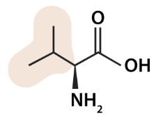 <p>what aa is this</p>