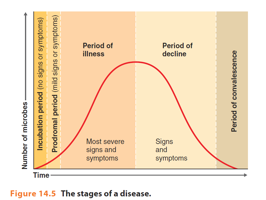 <p>5 stages of development of disease</p>