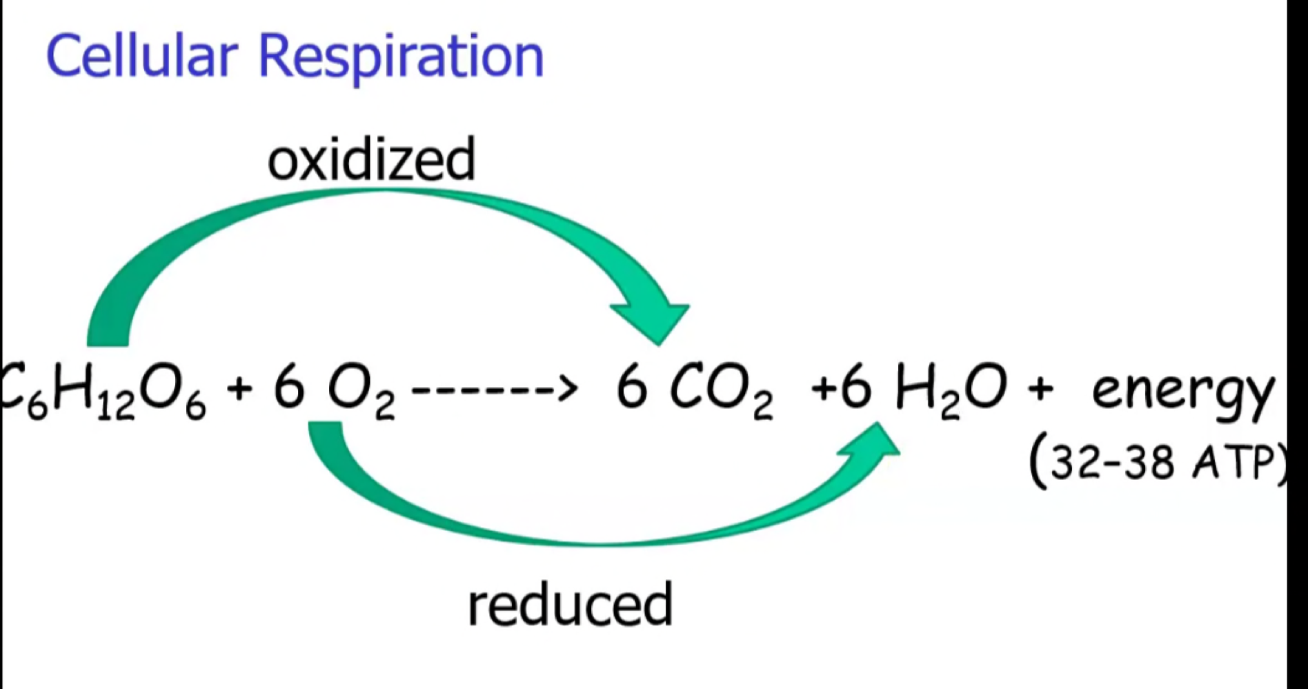* Glucose is oxidized to become CO2
* Oxygen is reduced to form water