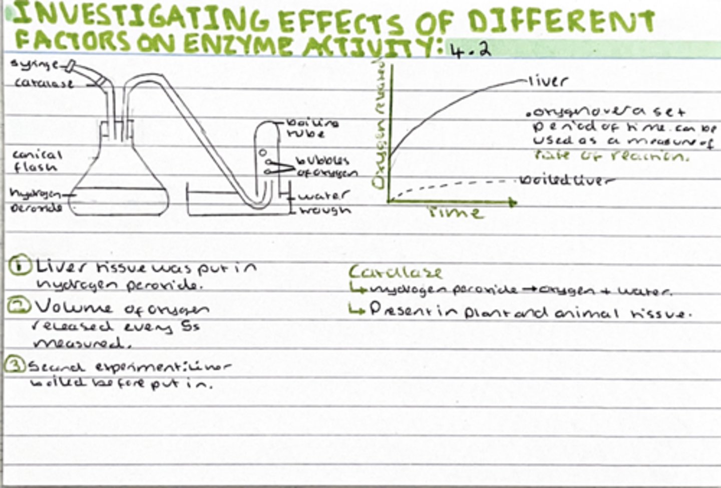 <p>Liver tissue into hydrogen peroxide, volume of oxygen released every 5 seconds was measured.</p><p>a) contains catalase</p><p>Catalase is the enzyme responsible for the breakdown of hydrogen peroxide</p>