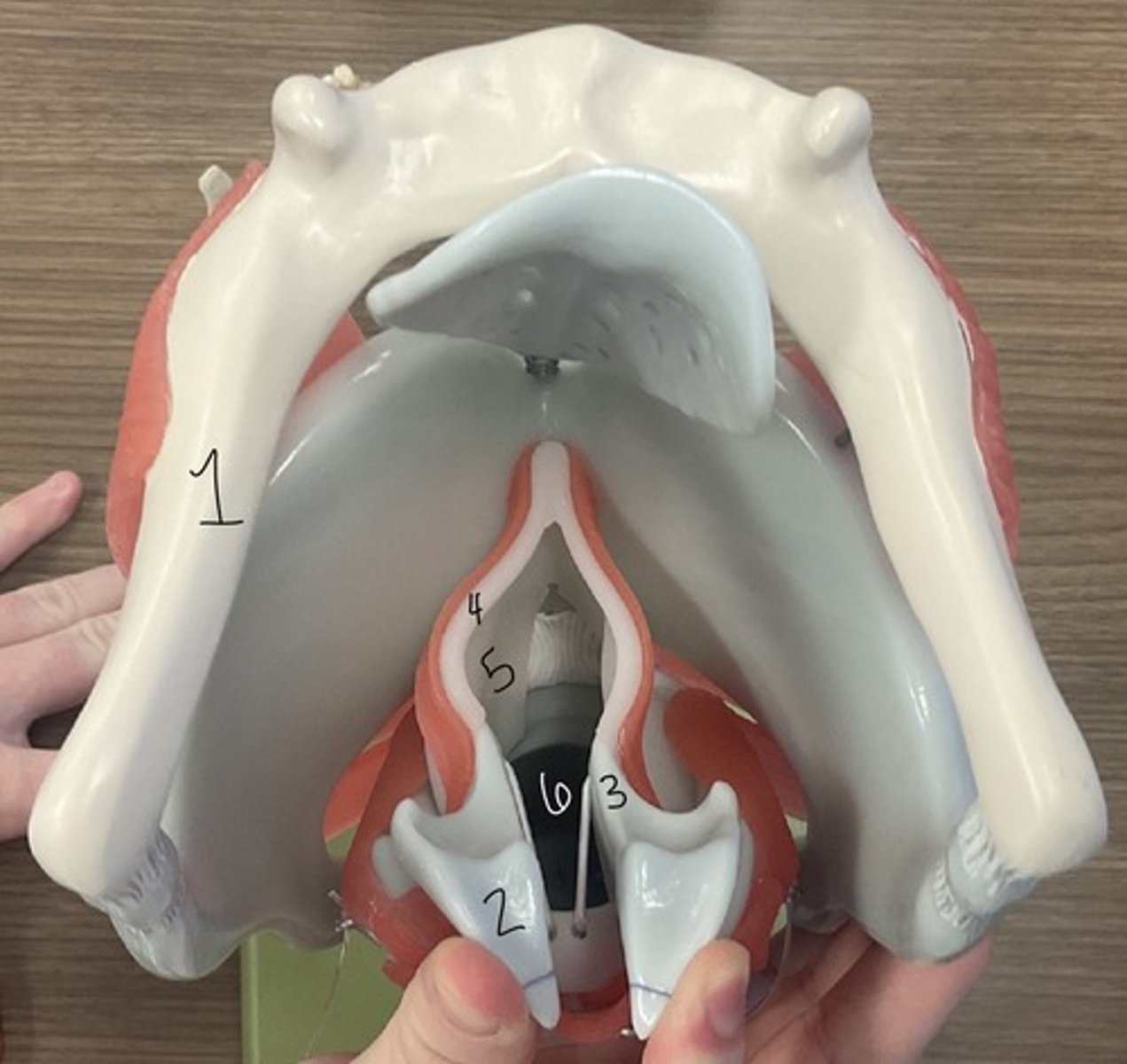 <p>What is structure 3?</p>