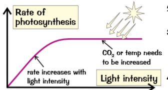 <p>Light provides? Lights level increased? After a while? In a lab? need to measure?</p>