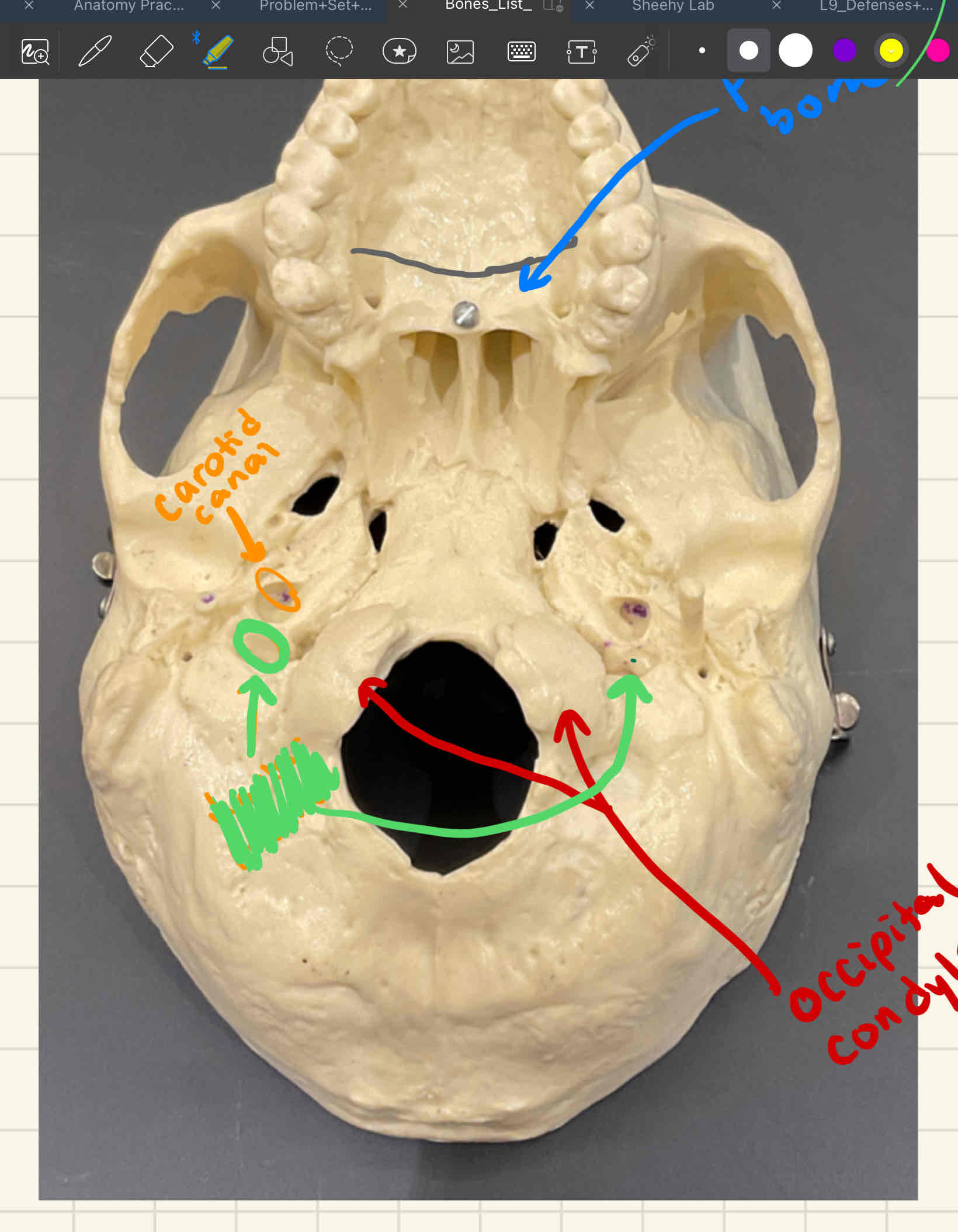 knowt flashcard image
