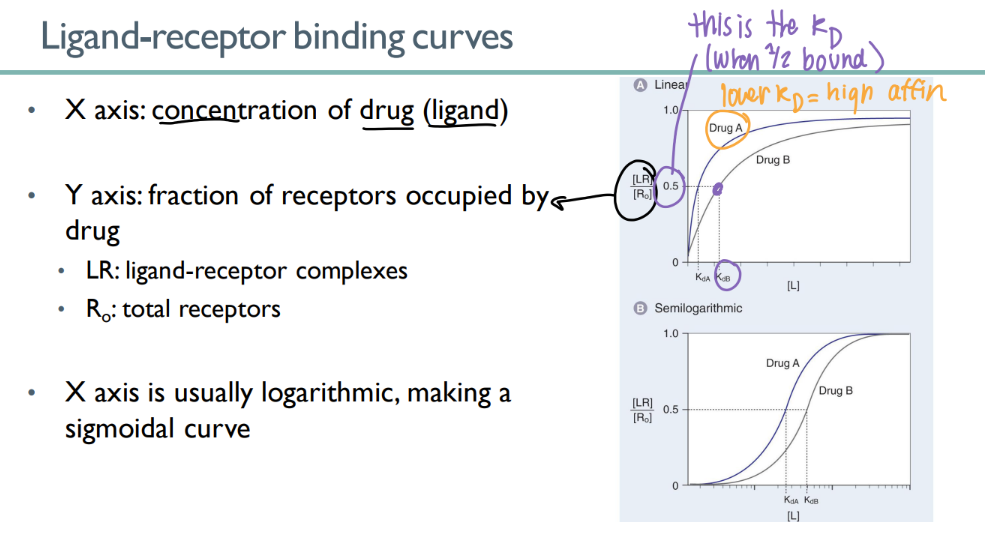 <p>y axis = LR/ R0 </p><p>(bound ligand-receptors / total receptors) </p><p>x axis = drug conc </p>