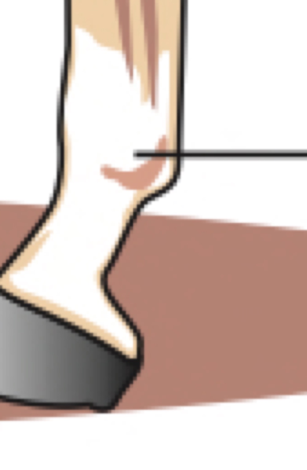 fetlock