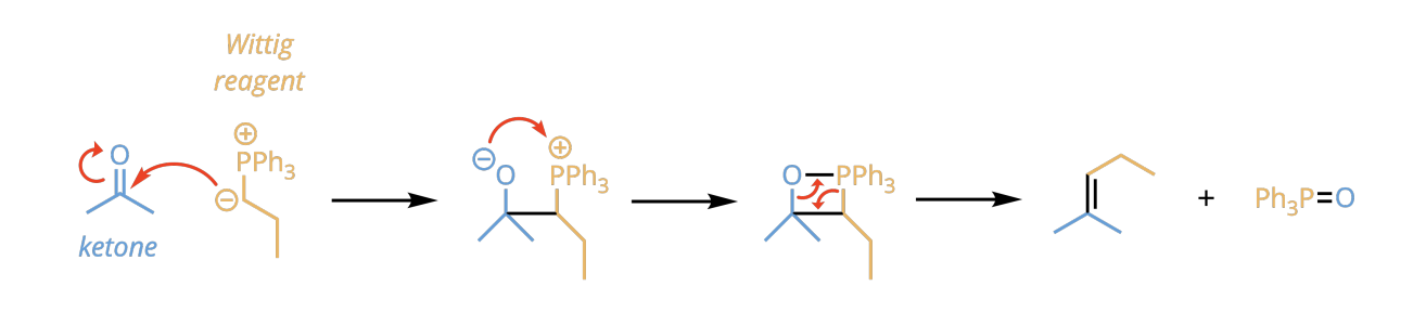 <p>creates almost a ring formation </p>