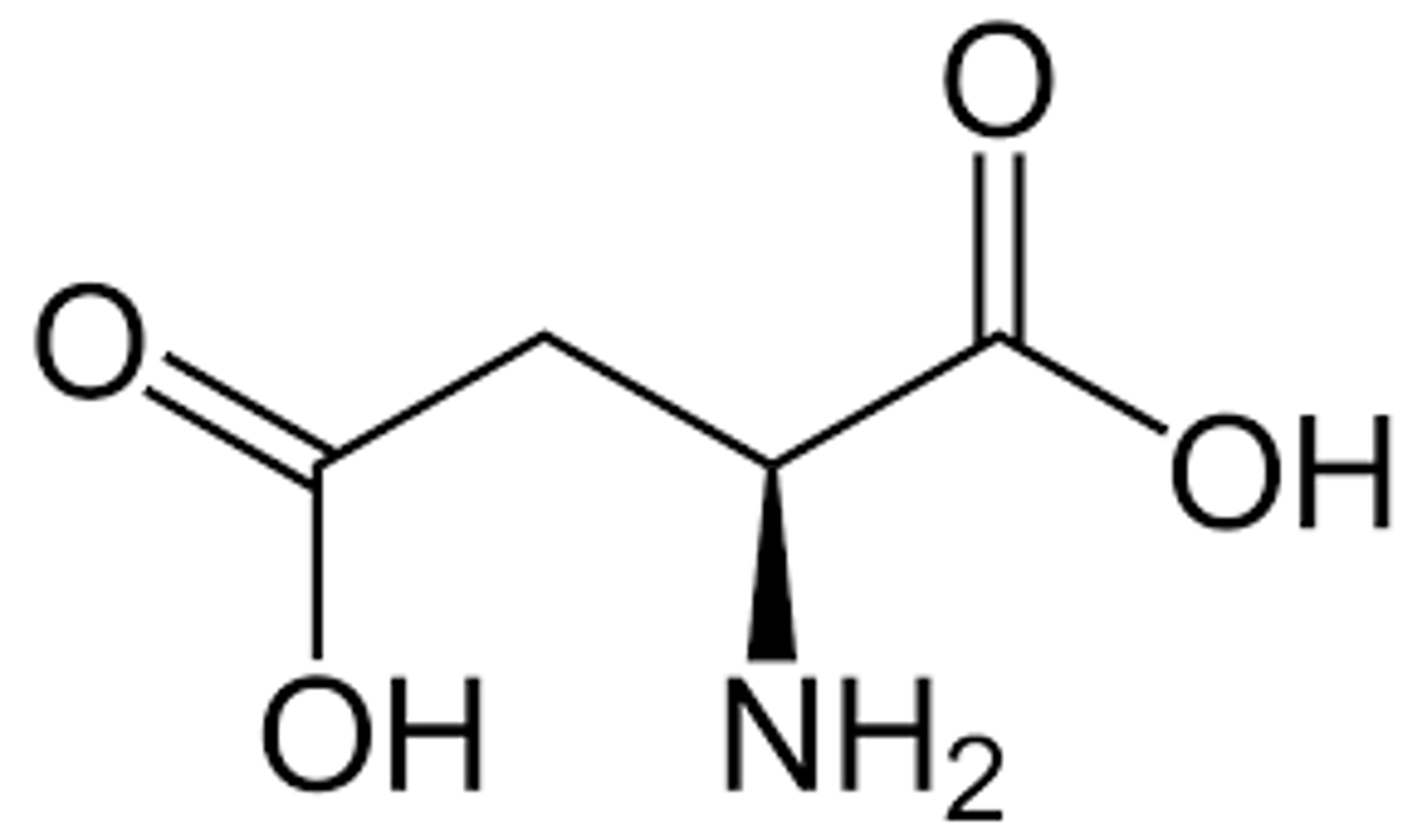 <p>Aspartate, Asp, D, acidic/negatively charged</p>