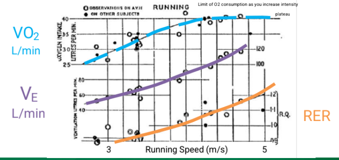 <p>DEFINITION: The maximal ability to intake,</p><p>circulate and utilize oxygen</p>