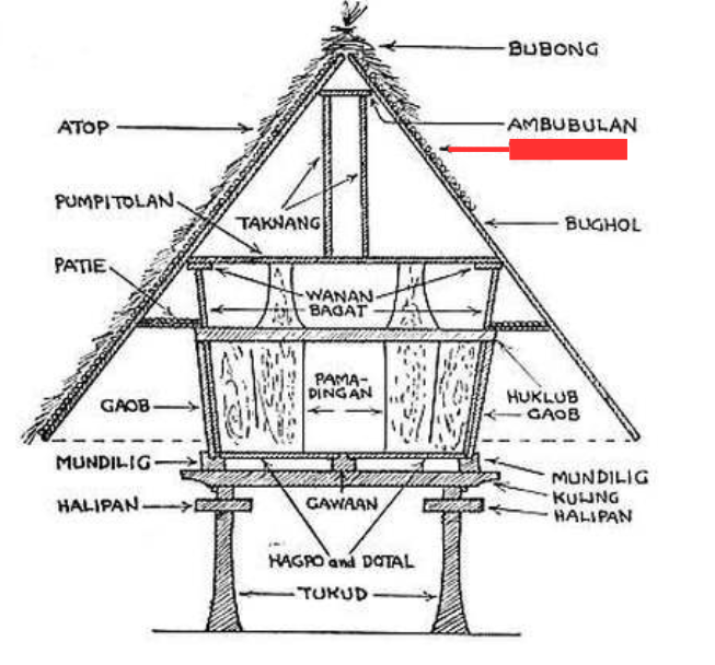 term image