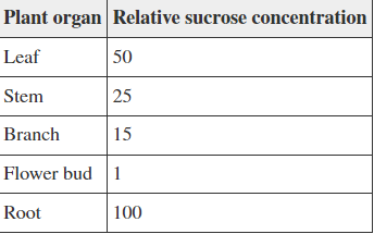 <p><span>Refer to the table below.</span><br><br><span>In the spring, a plant grows from a root system that had been dormant throughout the winter. The plant produces a stem, several branches, leaves, and begins to flower. The relative concentrations of sucrose in cells of various organs of the plant are shown in the table. How would you describe the fluid pressure in the plant phloem at this time?</span><br></p><ol><li><p>Highest in leaf and lowest in flower bud</p></li><li><p>Highest at the top of the plant and lowest at the bottom</p></li><li><p>Highest in root and lowest in flower bud</p></li><li><p>Highest in photosynthetic tissues and lowest in non-photosynthetic tissues</p></li></ol>