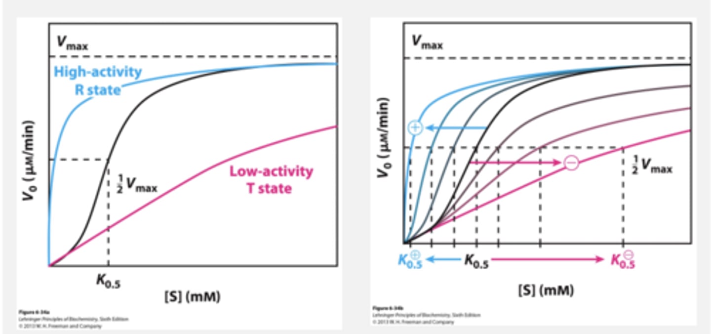 <p>Allosteric regulators do not follow Michaelis-Menten kinetics</p>