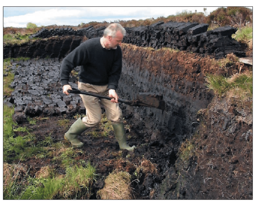 <p>peat</p>