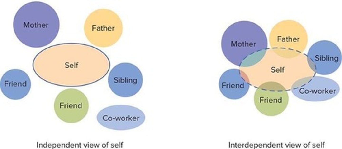 <p>Individualism prioritizes one's own goals over group goals and defines identity in terms of personal attributes.</p>