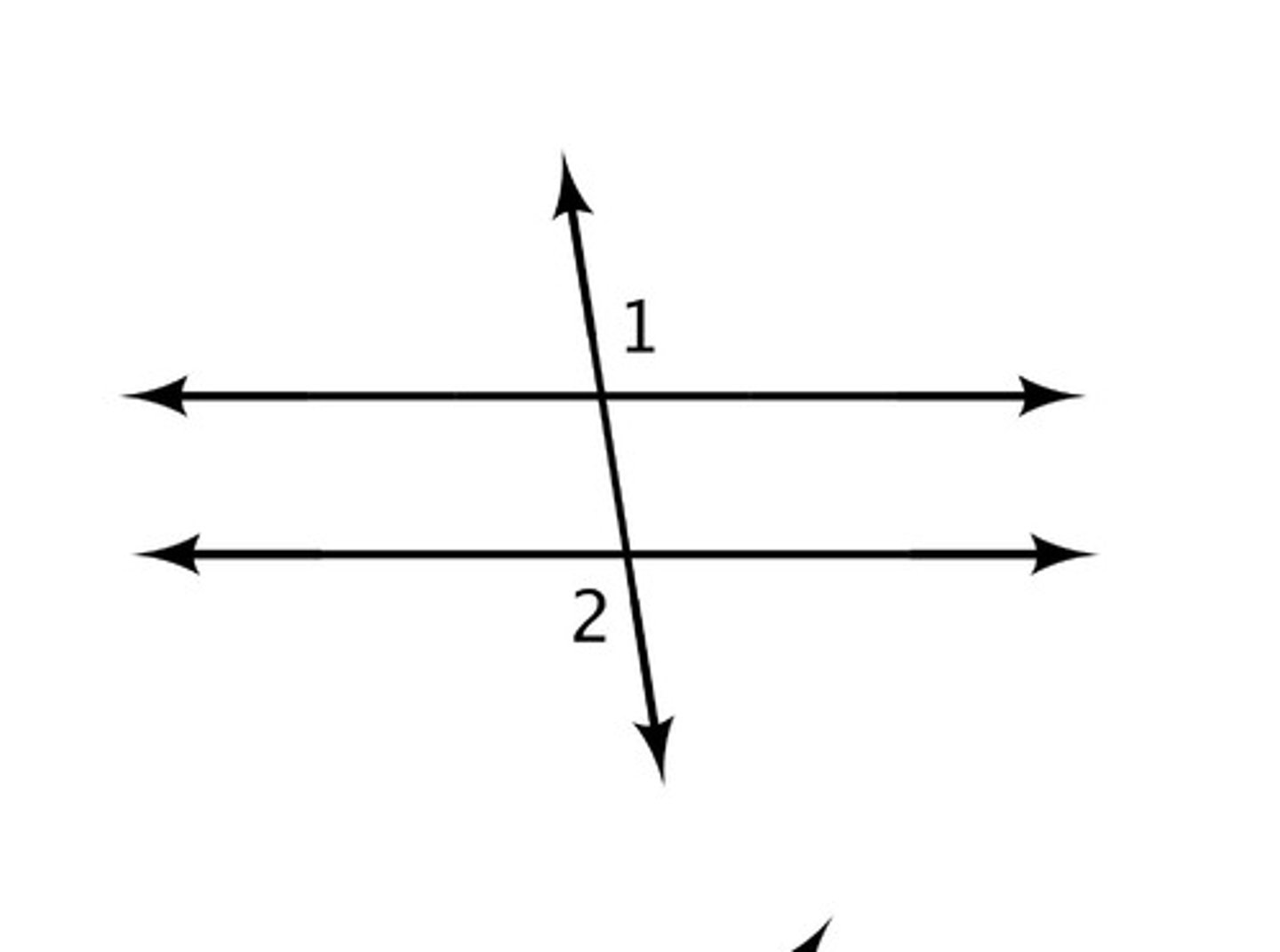 <p>non-adjacent and on opposite sides of the transversal and outside the parallel lines</p>