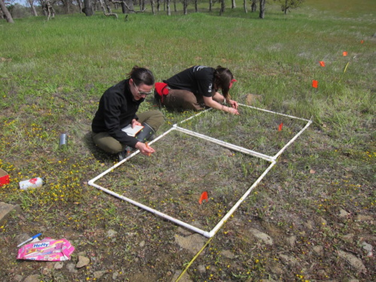 <p>research conducted in a natural setting as opposed to a laboratory</p>