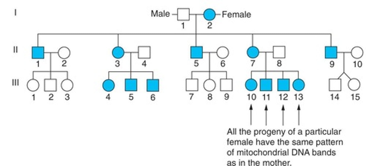 <p>To analyze older samples that lack nucleated cellular material, such as hair, bones, and teeth.</p>