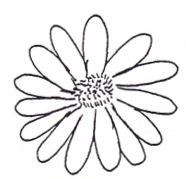 <p>Shape of flower?</p>