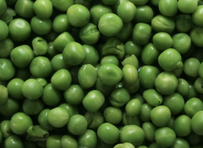 <p>peas</p>