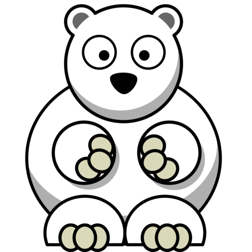 <p>a polar bear</p>