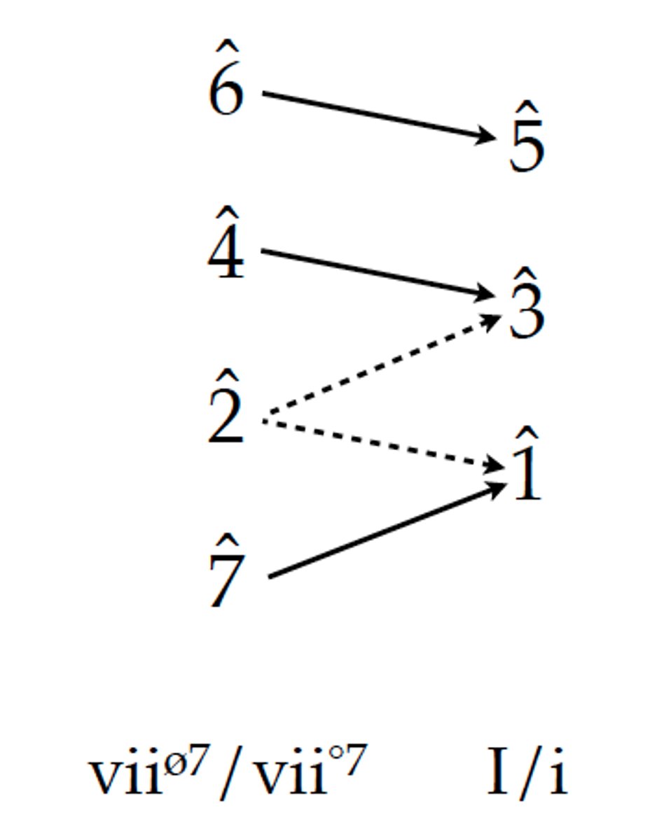 <p>Pitches that have strong inclination to move in a specific direction.</p><p>re-do</p><p>fa-mi</p><p>la-sol</p><p>ti-do</p>