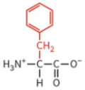 <ul><li><p>nonpolar side chain </p></li><li><p>hydrophobic</p></li><li><p>no H-bond</p></li></ul><p></p>