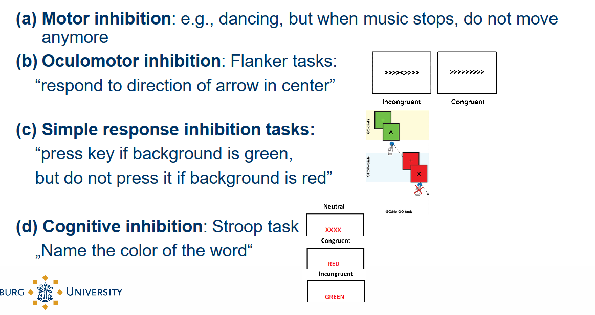 <ol><li><p><strong>Motor inhibition</strong>: e.g. dancing, but when the music stops, do not move anymore.</p></li><li><p><strong>Oculomotor inhibition</strong>: Flanker tasks: “respond to direction of arrow in center”</p></li><li><p><strong>Simple response inhibition tasks</strong>: “press key if background is green, but do not press it if background is red.</p></li><li><p><strong>Cognitive inhibition</strong>: Stroop task “name the color of the word” </p></li></ol><p></p>