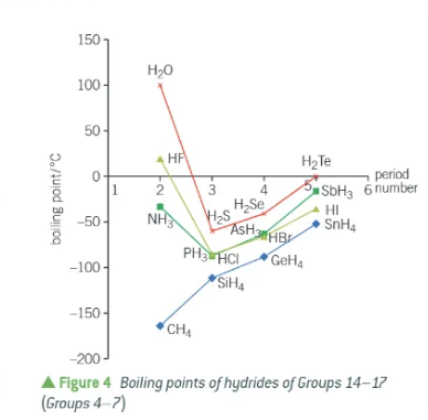 <p>the hydrogen bonds!! </p>