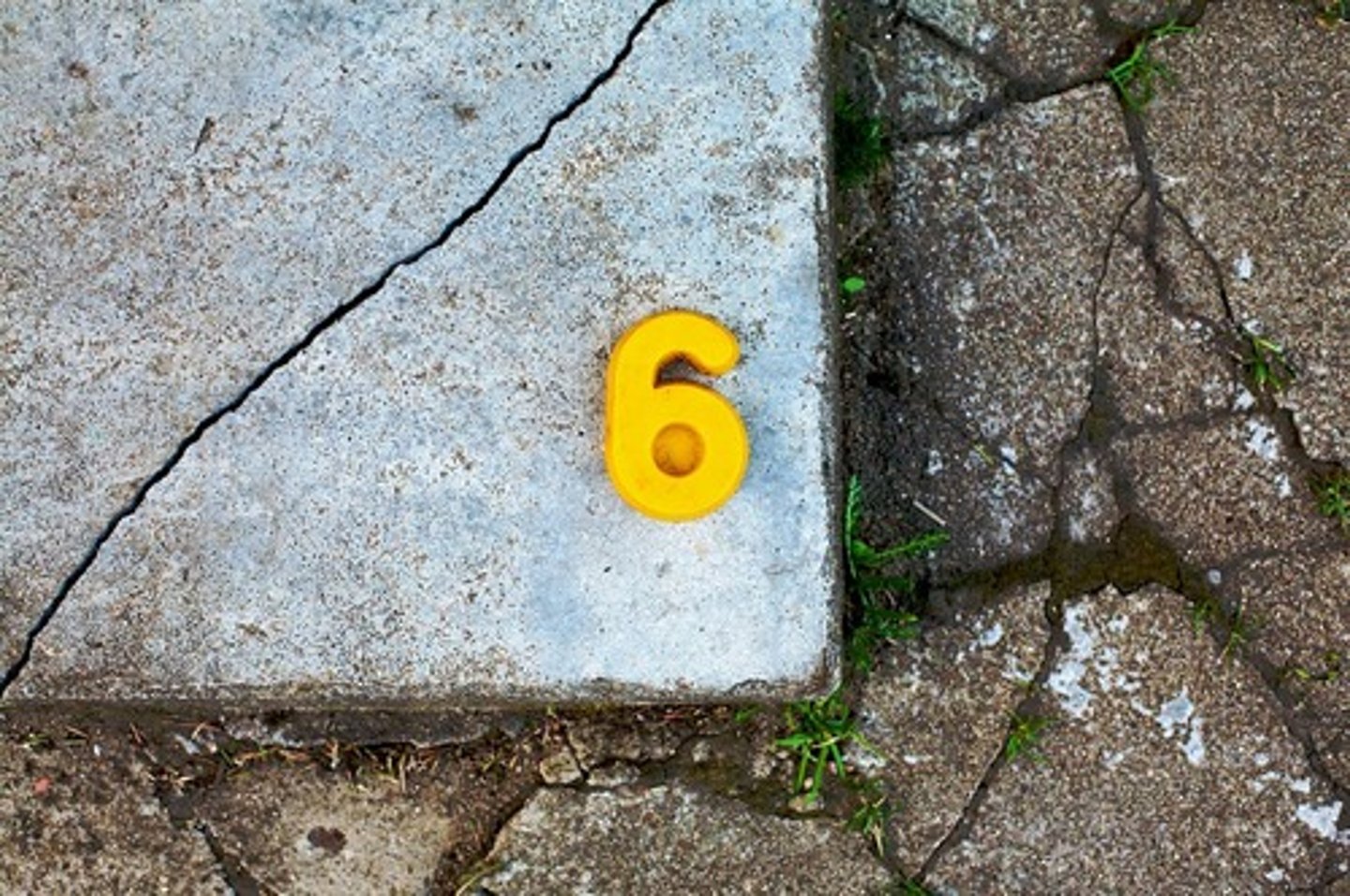 <p>6</p>